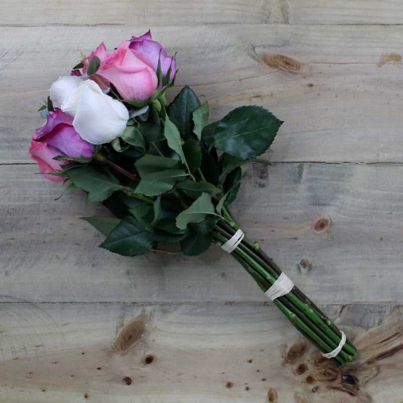 Pastel Multicolor con Eucaliptus - Firenze Rose™