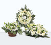 Set de Condolencias 3 - Corona Pequeña - Canasto de Rosas y Liliums - Cubre Urnas - Firenze Rose™