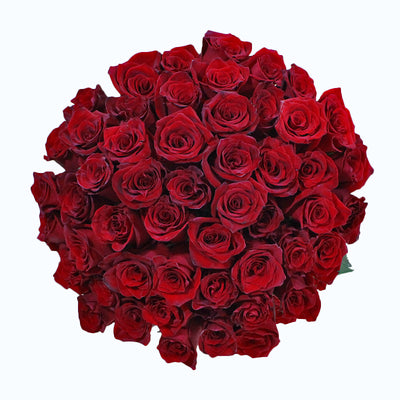 Ramo de Rosas Rojas - Firenze Rose™