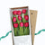 Caja con 9 Tulipanes