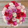 Mix de Rosas Especial - Firenze Rose™